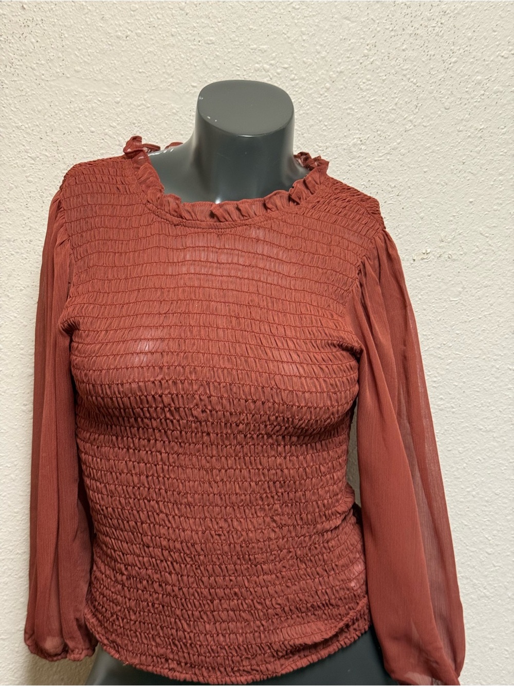 Express Rust Smocked Long-Sleeve Blouse